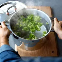 Sartenes, Ollas y Wok